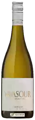 Weingut Vavasour - Pinot Gris