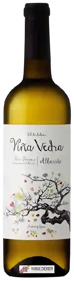 Weingut Vedra - Albariño Weingut Vedra - Albariño