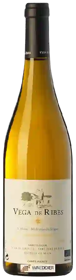 Weingut Vega de Ribes - Sauvignon Blanc - Malvasia de Sitges