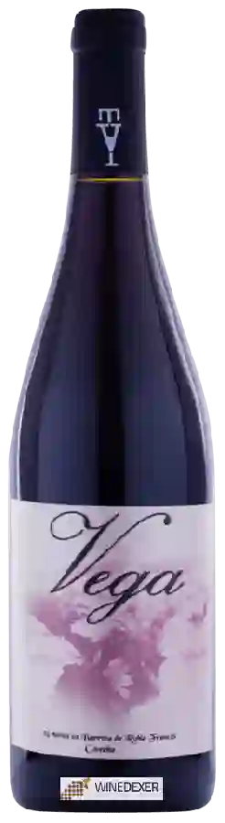 Weingut Vega de Tera - Vega
