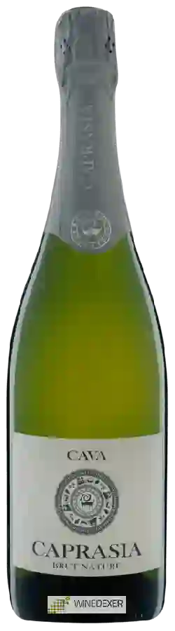 Weingut Vegalfaro - Cava Caprasia Brut Nature Weingut Vegalfaro - Cava Caprasia Brut Nature