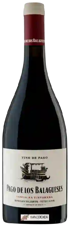 Weingut Vegalfaro - Pago de los Balagueses Garnacha Tintorera