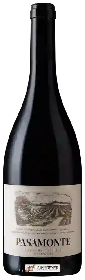 Weingut Vegalfaro - Pasamonte Tinto
