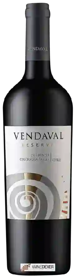 Weingut Vendaval - Reserva Carménère