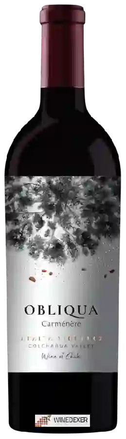 Weingut Ventisquero - Obliqua Apalta Vineyard Carménère Weingut Ventisquero - Obliqua Apalta Vineyard Carménère