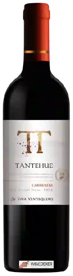 Weingut Ventisquero - Tantehue Carménère