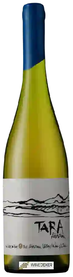 Weingut Ventisquero - Tara Chardonnay Weingut Ventisquero - Tara Chardonnay