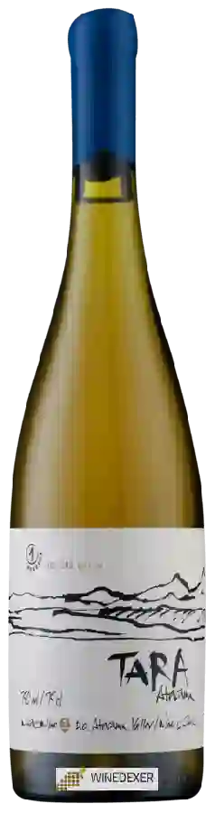 Weingut Ventisquero - Tara White 2