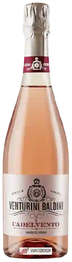 Weingut Venturini Baldini - Ca del Vento Lambrusco Rosato