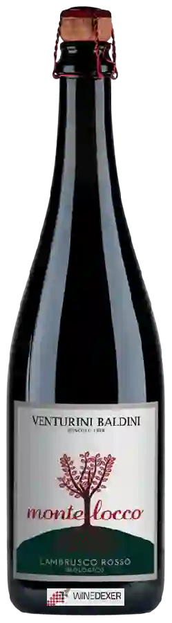 Weingut Venturini Baldini - Montelocco Lambrusco Emilia