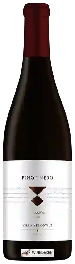 Weingut Villa Vescovile - Pinot Nero