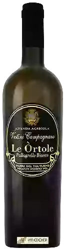 Weingut Vestini Campagnano - Le Òrtole Pallagrello Bianco