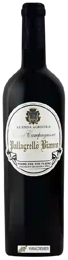 Weingut Vestini Campagnano - Pallagrello Bianco Weingut Vestini Campagnano - Pallagrello Bianco