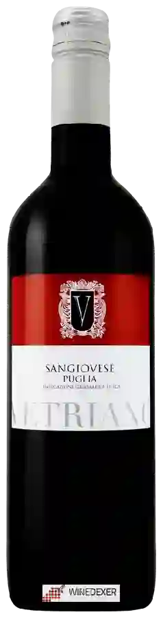 Weingut Vetriano - Sangiovese
