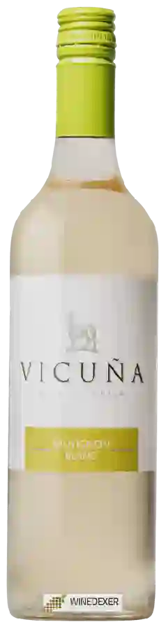 Weingut Vicuña - Sauvignon Blanc Weingut Vicuña - Sauvignon Blanc