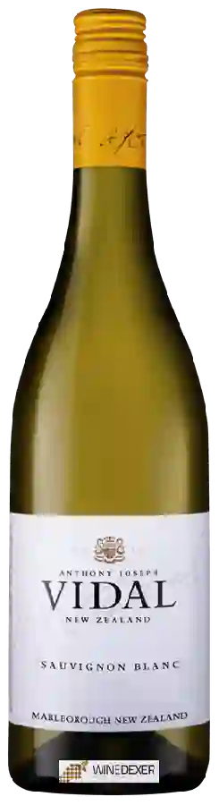 Weingut Vidal - Sauvignon Blanc