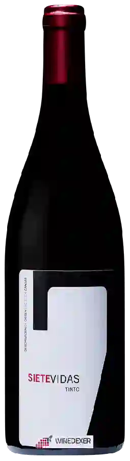 Weingut Vidas - 7 Siete Vidas Tinto Weingut Vidas - 7 Siete Vidas Tinto