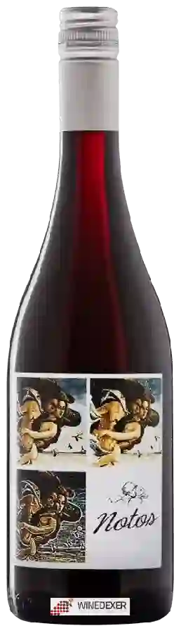 Weingut Vientos - Notos Weingut Vientos - Notos