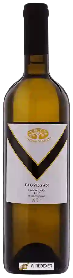 Weingut Vigna Madre - Biovegan Passerina Weingut Vigna Madre - Biovegan Passerina