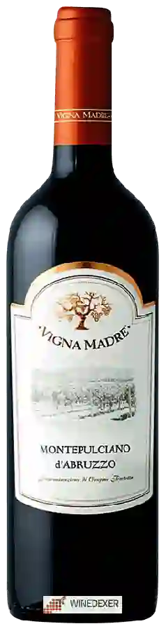 Weingut Vigna Madre - Montepulciano d'Abruzzo
