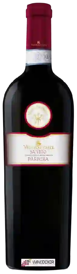 Weingut Vigne Sannite - Barbera Sannio