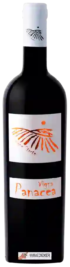 Weingut Vigne Storte - Vigna Panacea Weingut Vigne Storte - Vigna Panacea