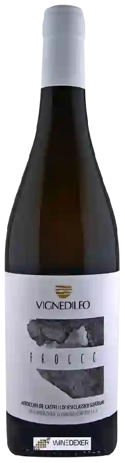 Weingut Vignedileo - Frocco Verdicchio dei Castelli di Jesi Classico Superiore Weingut Vignedileo - Frocco Verdicchio dei Castelli di Jesi Classico Superiore