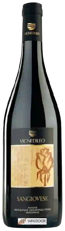 Weingut Vignedileo - Sangiovese Weingut Vignedileo - Sangiovese