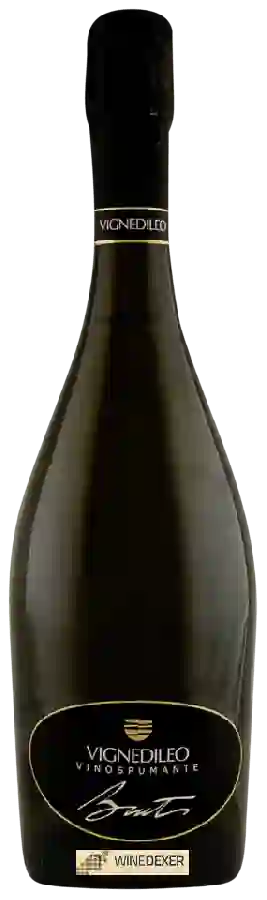 Weingut Vignedileo - Spumante Brut