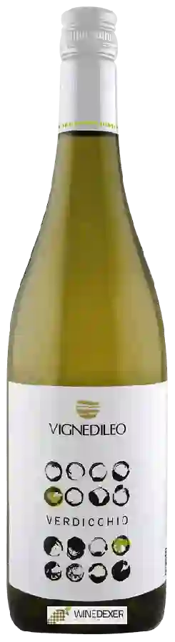 Weingut Vignedileo - Verdicchio dei Castelli di Jesi Classico Weingut Vignedileo - Verdicchio dei Castelli di Jesi Classico