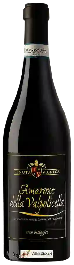 Weingut Tenuta Vignega - Amarone della Valpolicella
