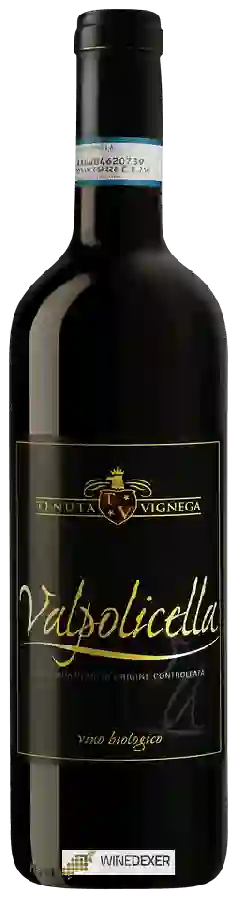 Weingut Tenuta Vignega - Valpolicella