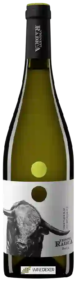 Weingut Vigneti Radica - Trebbiano d'Abruzzo