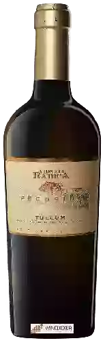 Weingut Vigneti Radica - Tullum Pecorino