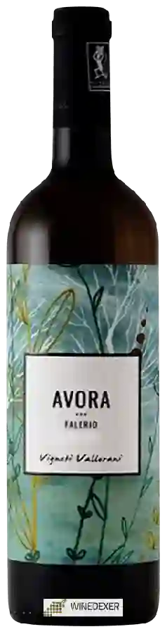 Weingut Vigneti Vallorani - Avora Weingut Vigneti Vallorani - Avora