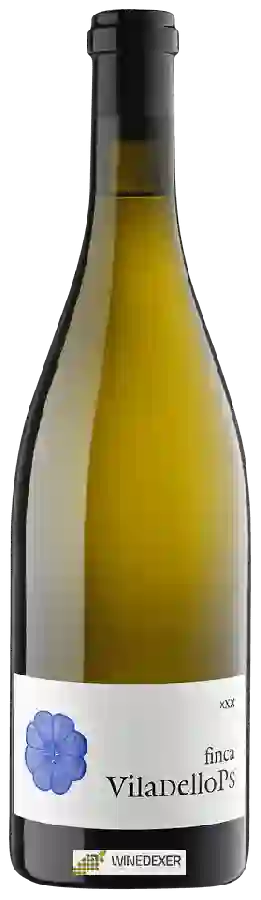 Weingut Viladellops - Xarel-lo XXX Weingut Viladellops - Xarel-lo XXX