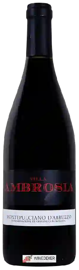 Weingut Villa Ambrosia - Montepulciano d'Abruzzo
