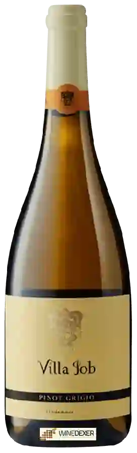 Weingut Villa Job - Pinot Grigio