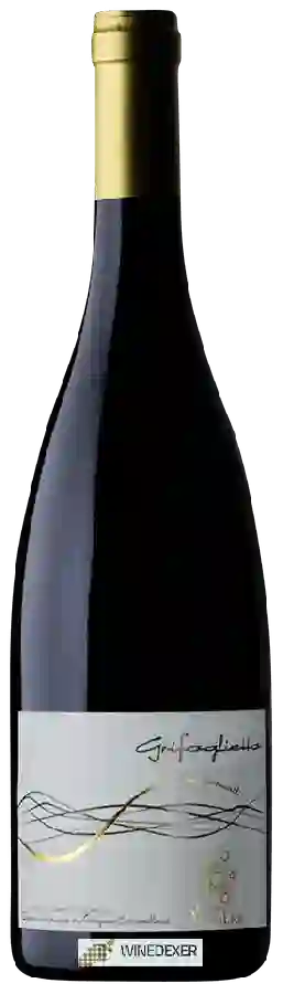 Weingut Fattoria Villa Ligi - Grifoglietto Pergola Aleatico Superiore Weingut Fattoria Villa Ligi - Grifoglietto Pergola Aleatico Superiore