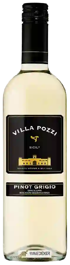 Weingut Villa Pozzi - Pinot Grigio Weingut Villa Pozzi - Pinot Grigio