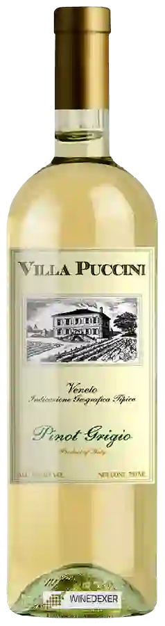 Weingut Villa Puccini - Pinot Grigio Veneto Weingut Villa Puccini - Pinot Grigio Veneto