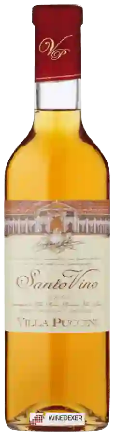 Weingut Villa Puccini - Santo Vino Weingut Villa Puccini - Santo Vino