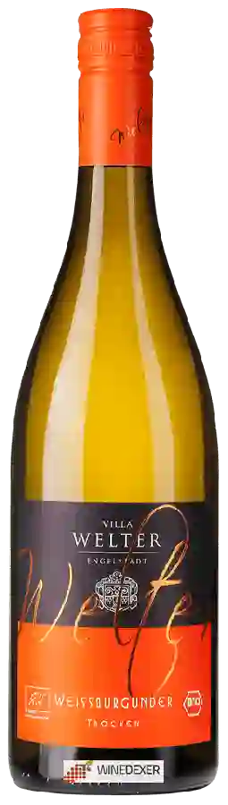 Weingut Villa Welter - Weissburgunder Trocken
