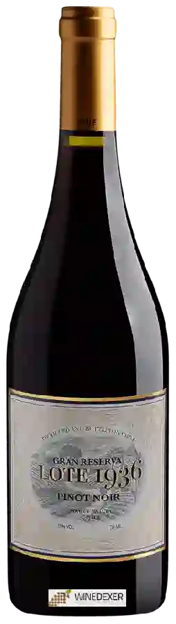 Weingut Villagolf - Lote 1936 Gran Reserva Pinot Noir Weingut Villagolf - Lote 1936 Gran Reserva Pinot Noir