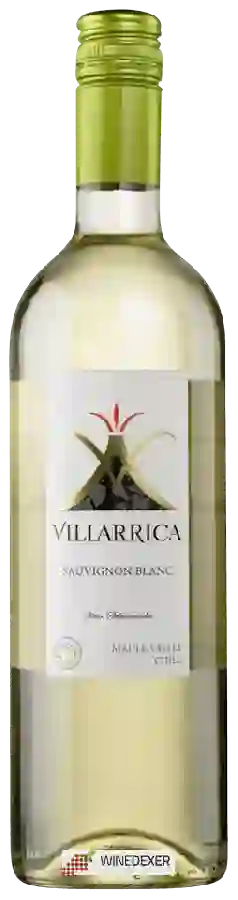 Weingut Villarrica - Sauvignon Blanc Weingut Villarrica - Sauvignon Blanc