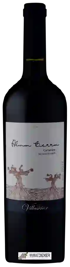 Weingut Villaseñor - Alma Tierra Carménère Weingut Villaseñor - Alma Tierra Carménère