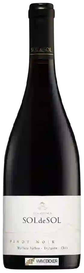 Weingut Viña Aquitania - SOLdeSOL Pinot Noir