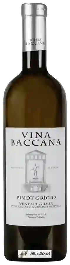 Weingut Vina Baccana - Pinot Grigio