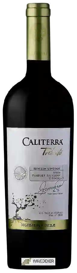 Weingut Caliterra - Tributo Shiraz - Cabernet Sauvignon - Viognier Edición Limitada Weingut Caliterra - Tributo Shiraz - Cabernet Sauvignon - Viognier Edición Limitada