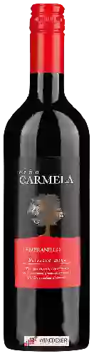 Weingut Viña Carmela - Tempranillo